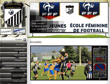 Tablet Screenshot of cdfc.fr